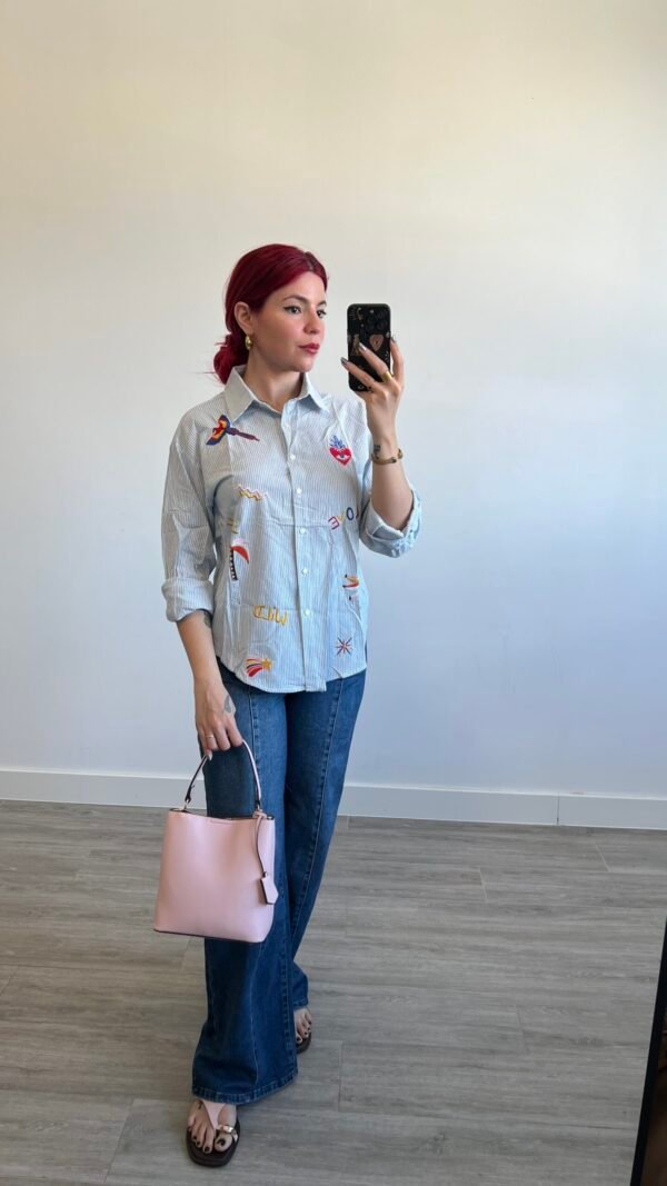 Camisa de Rayas con Diferentes Bordados