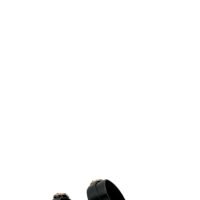 Sandalias Dos Tiras Negras