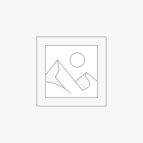 Puntifinos Negros Tacón Bajo